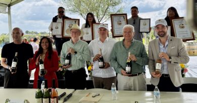 Sala Vive celebra su vendimia entre vino, música y el mundial
