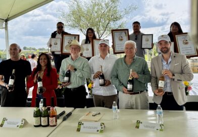 Sala Vive celebra su vendimia entre vino, música y el mundial